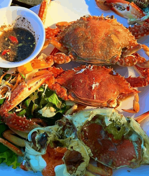 bãi biển gần sài gòn bãi biển gần sài gòn