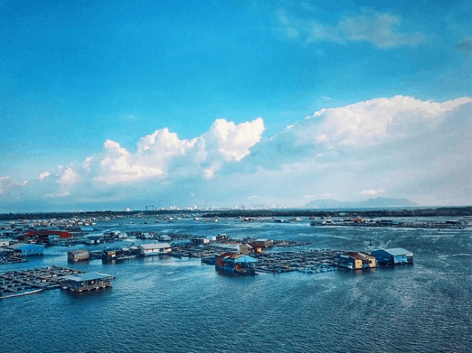 bãi biển gần sài gòn bãi biển gần sài gòn