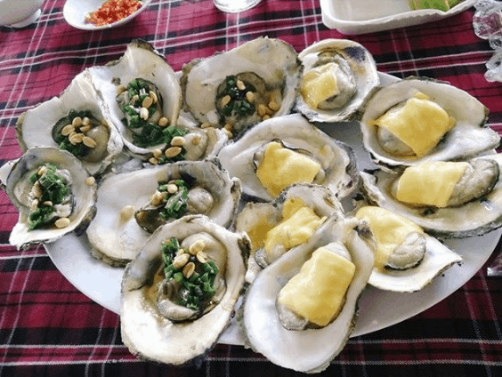 Xứ sở của hàu (sưu tầm) bãi biển gần sài gòn