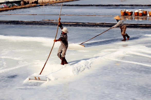 bãi biển gần sài gòn bãi biển gần sài gòn