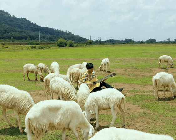 nơi chụp hình đẹp ở vũng tàu