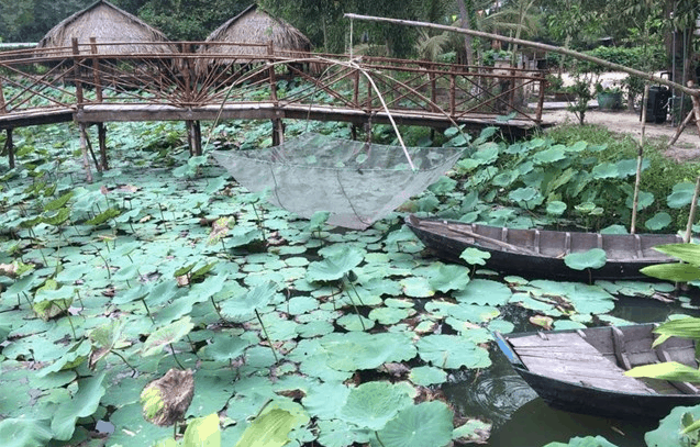 Khung cảnh như làng quê Việt Nam yên bình (sưu tầm) địa điểm ít người biết ở vũng tàu