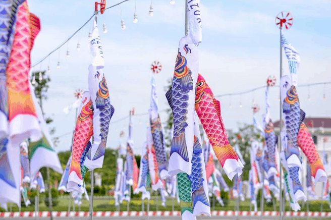 cánh đồng cá Koi