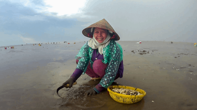 Cào nghêu (sưu tầm) bãi biển gần sài gòn