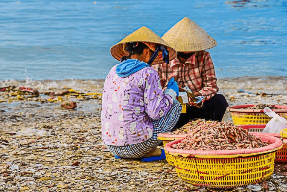 Những mẻ hải sản được bán luôn chứ không cần cân đo