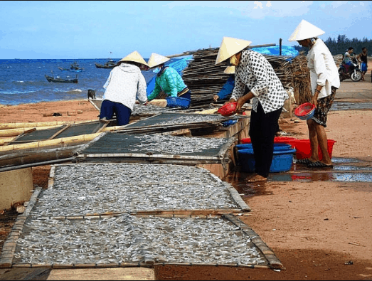 Hình ảnh người dân làng chài làm khô cá