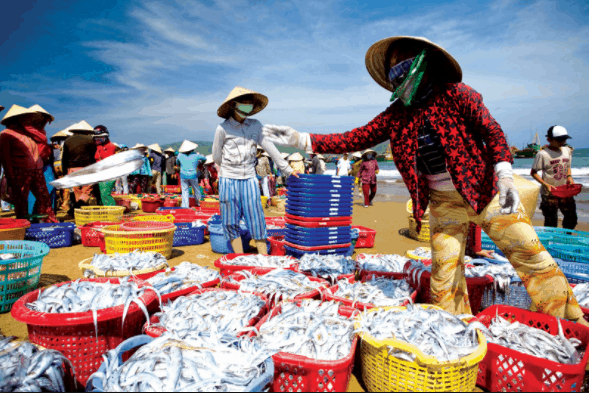 Những mẻ hải sản tươi ngon vừa được đánh bắt lên bờ