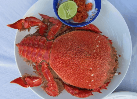 Cua Huỳnh Đế 