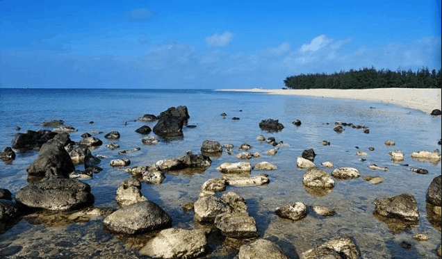 Cảnh vật hoang sơ 