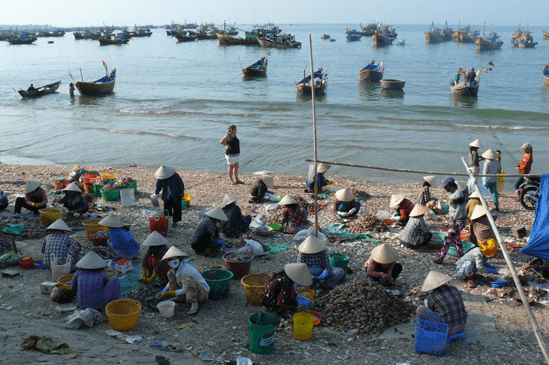 Người dân làng chài phân loại hải sản 