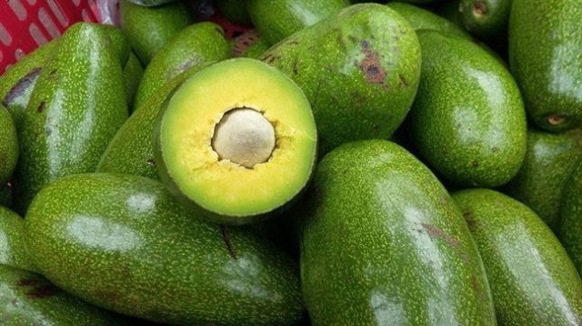 Bơ ngon bởi được trồng hợp với vùng đất đỏ bazan, có lớp cùi dầy, vàng và nhiều tỷ lệ bơ sáp (Ảnh ST)