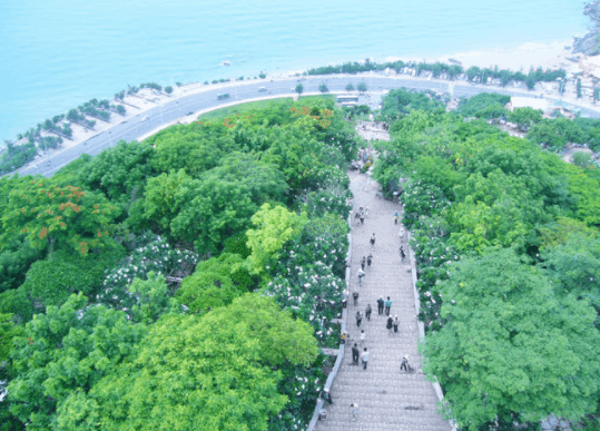 Đảo Long Sơn - Vũng Tàu Đảo Long Sơn - Vũng Tàu