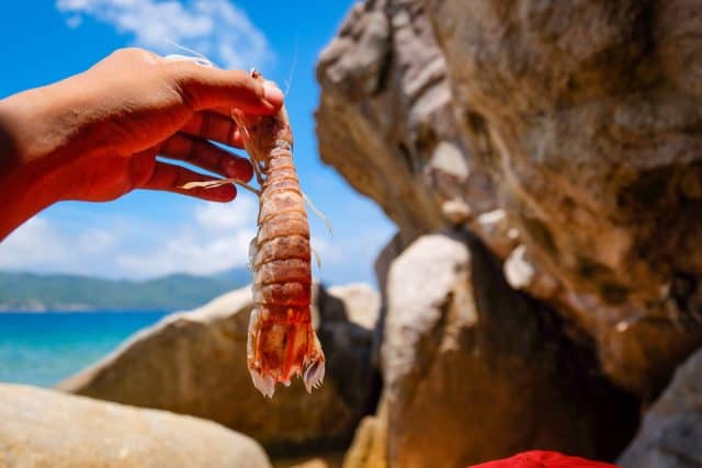 Không tốn quá nhiều chi phí nếu du lịch 2 ngày 1 đêm ở Hòn Lớn cùng với đoàn (Ảnh ST)