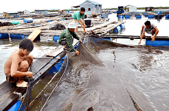 Khám phá cuộc sống đơn sơ tại đảo Gò Găng Khám phá cuộc sống đơn sơ tại đảo Gò Găng