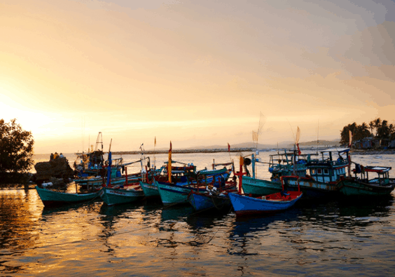 Làng chài Hàm Ninh Làng chài Hàm Ninh