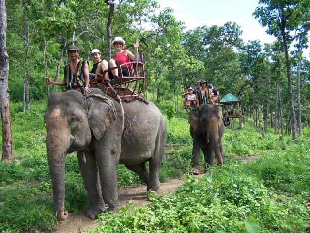Đến thăm vườn quốc gia trong chuyến du lịch Tây Nguyên sẽ là những trải nghiệm thú vị cho bạn (Ảnh ST)