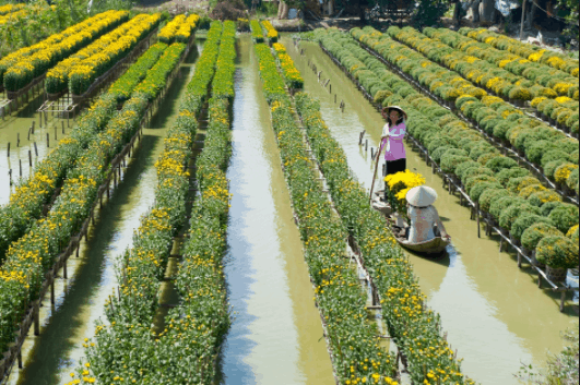 Làng hoa kiểng Sa Đéc
