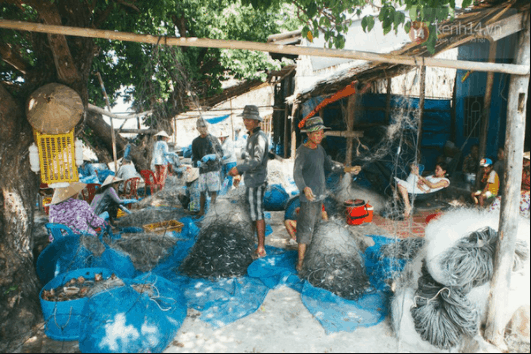 Người dân làng chài đánh bắt cá