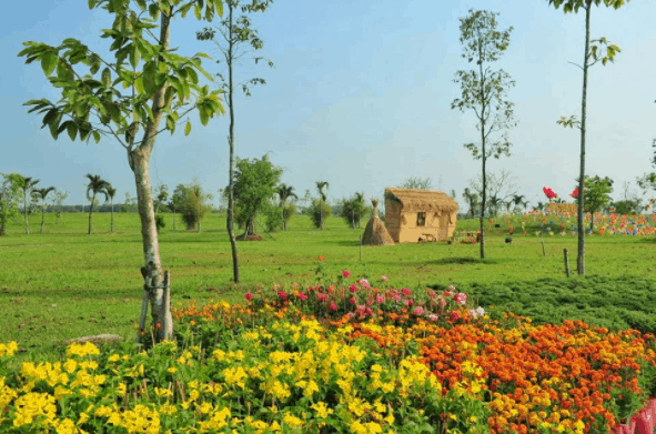 Không khí trong lành ở Làng Sen Việt Nam