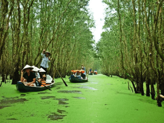 Đi thuyền dọc con kênh để vào đến rừng tràm