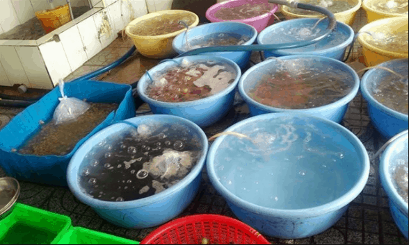 Vựa hải sản Hùng Phương chuyên cung cấp đủ loại hải sản tươi ngon