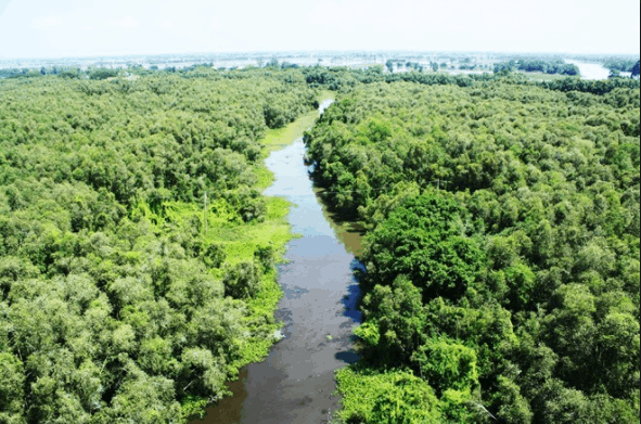 Diện tích làng nổi khoảng 135ha và vùng đệm khoảng 500ha