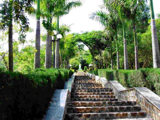 Con đường dẫn lên mộ Hàn Mặc Tử (Ảnh ST)