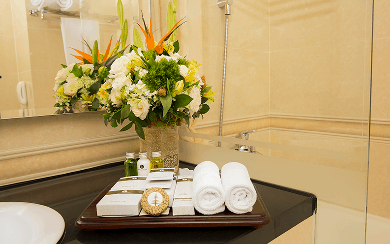norfolk hotels norfolk hotels