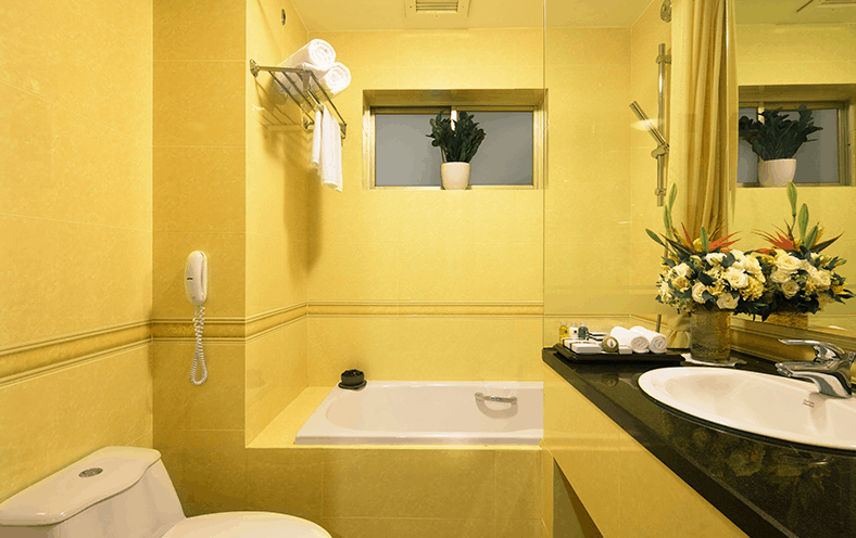 norfolk hotels norfolk hotels