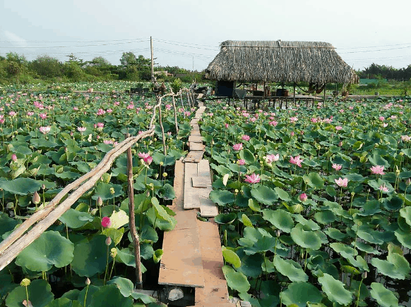 các địa điểm vui chơi ở quận 9 các địa điểm vui chơi ở quận 9