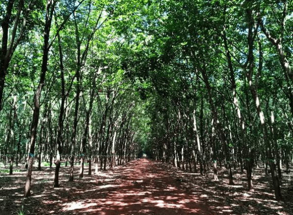 cung đường phượt sài gòn vũng tàu