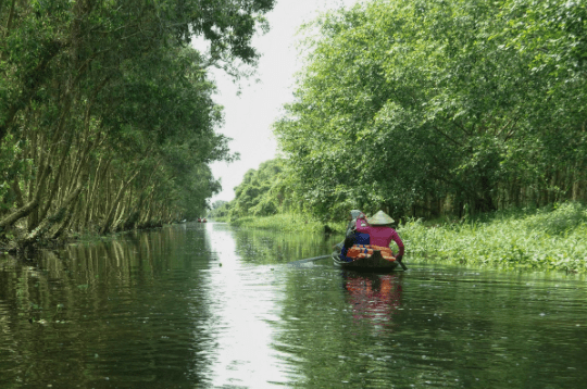 Gáo Giồng mùa nước nổi Gáo Giồng mùa nước nổi