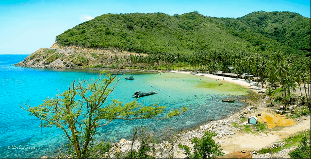 Bãi Cây Mến hút hồn du khách