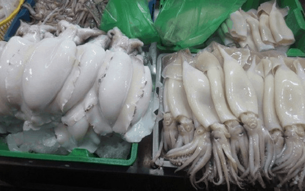 Mực tươi ngon giá rẻ ở Phú Quốc