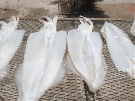 Mực phơi đúng 1 nắng sẽ thơm ngon ngọt thịt hơn mực khô