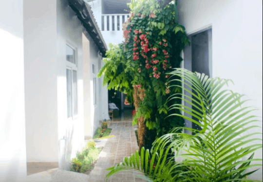 Dãy phòng khách sạn