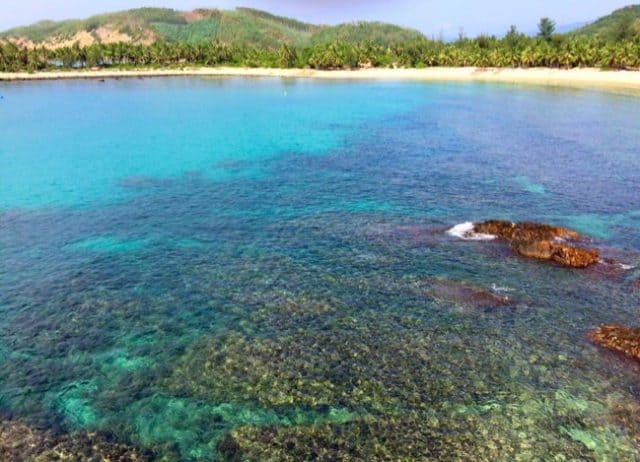 Rặng san hô ngay gần bờ với nhiều màu sắc rực rỡ (Ảnh ST)