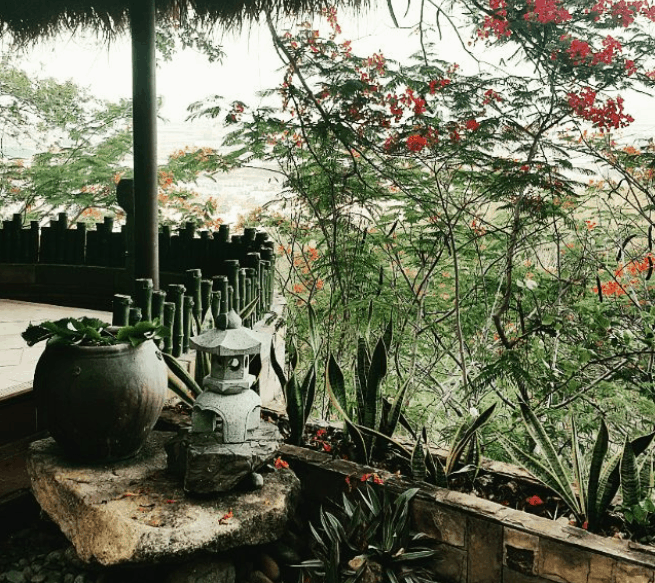 Vãn cảnh chùa Quan Âm Các 