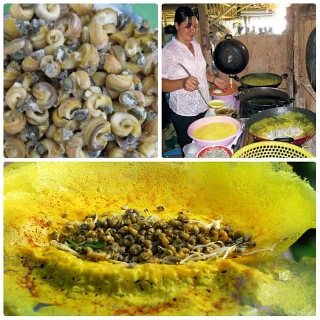 Ốc gạo có màu trắng Ốc gạo có màu trắng