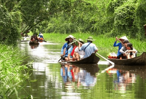 Đi xuồng khám phá vườn chim Gáo Giồng Đi xuồng khám phá vườn chim Gáo Giồng