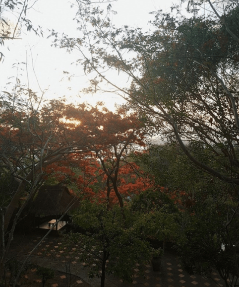 Một buổi chiều yên bình tại chùa Quan Âm Các