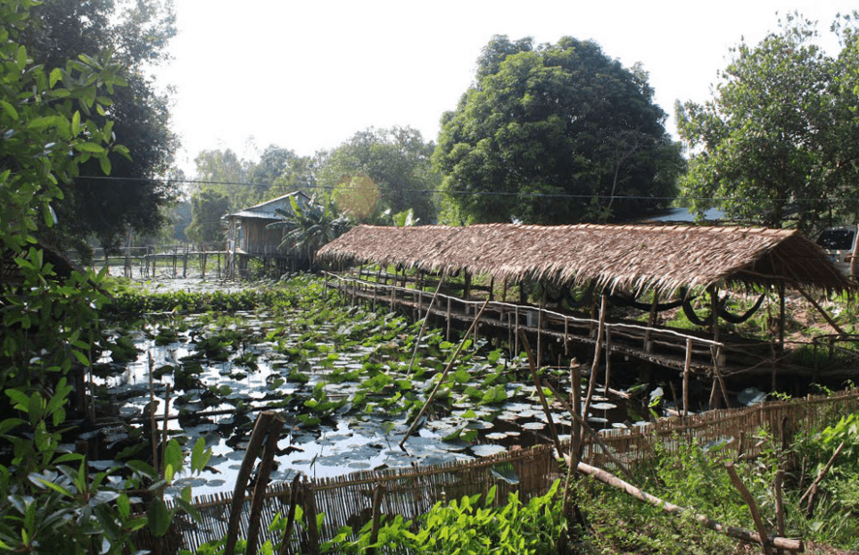 Một góc nhỏ tại khu du lịch Gáo Giồng Một góc nhỏ tại khu du lịch Gáo Giồng