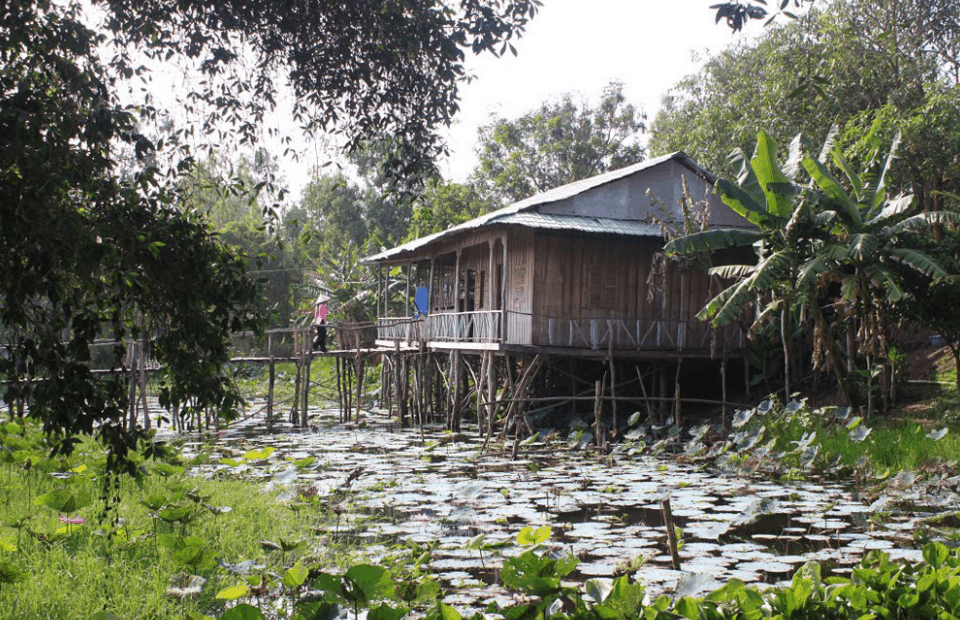 Tận hưởng không gian xanh mát tại KDL Gáo Giồng Tận hưởng không gian xanh mát tại KDL Gáo Giồng