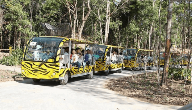 Tham quan vườn thú Vinpearl Safari bằng xe con