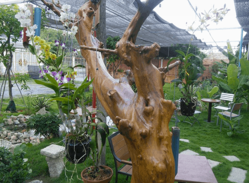 Trải nghiệm không gian trong xanh tại MM Garden Cafe Trải nghiệm không gian trong xanh tại MM Garden Cafe
