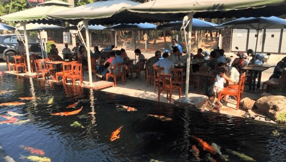 Trải nghiệm quán Koi Cafe Bình Dương Trải nghiệm quán Koi Cafe Bình Dương