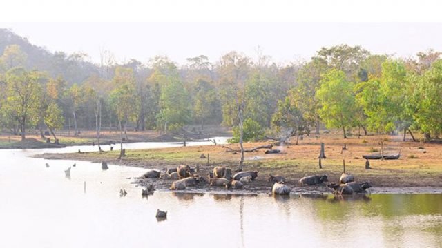 Không gian thiên nhiên xanh ngắt ở nơi đây (ẢNH ST)