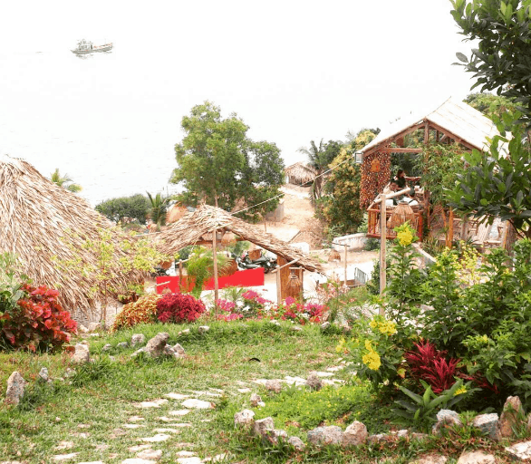 Không gian tràn ngập cây cỏ ở Humiso