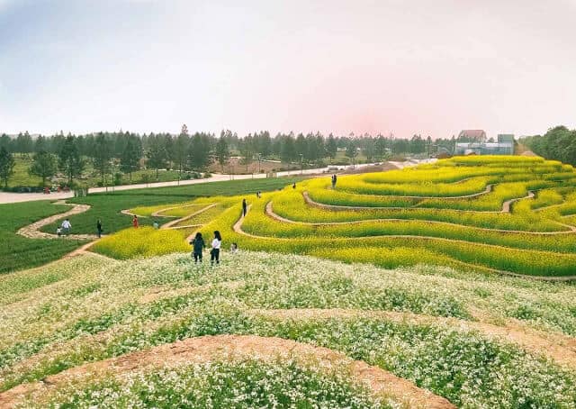 Ruộng Bậc Thang Hà Nội