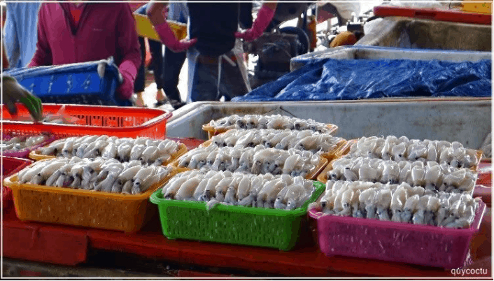 đảo Thổ Châu đảo Thổ Châu